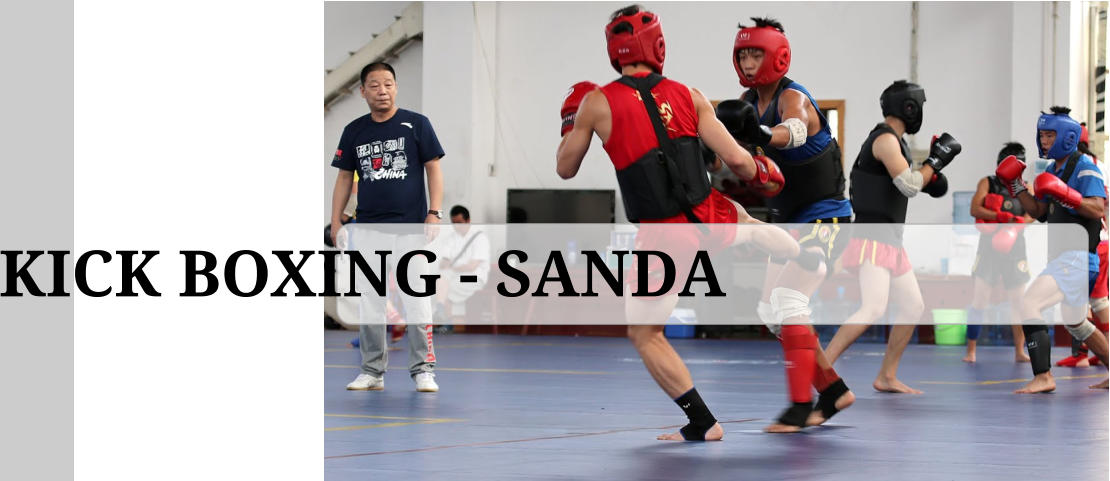 KICK BOXING - SANDA
